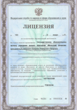 ecvdo.ru